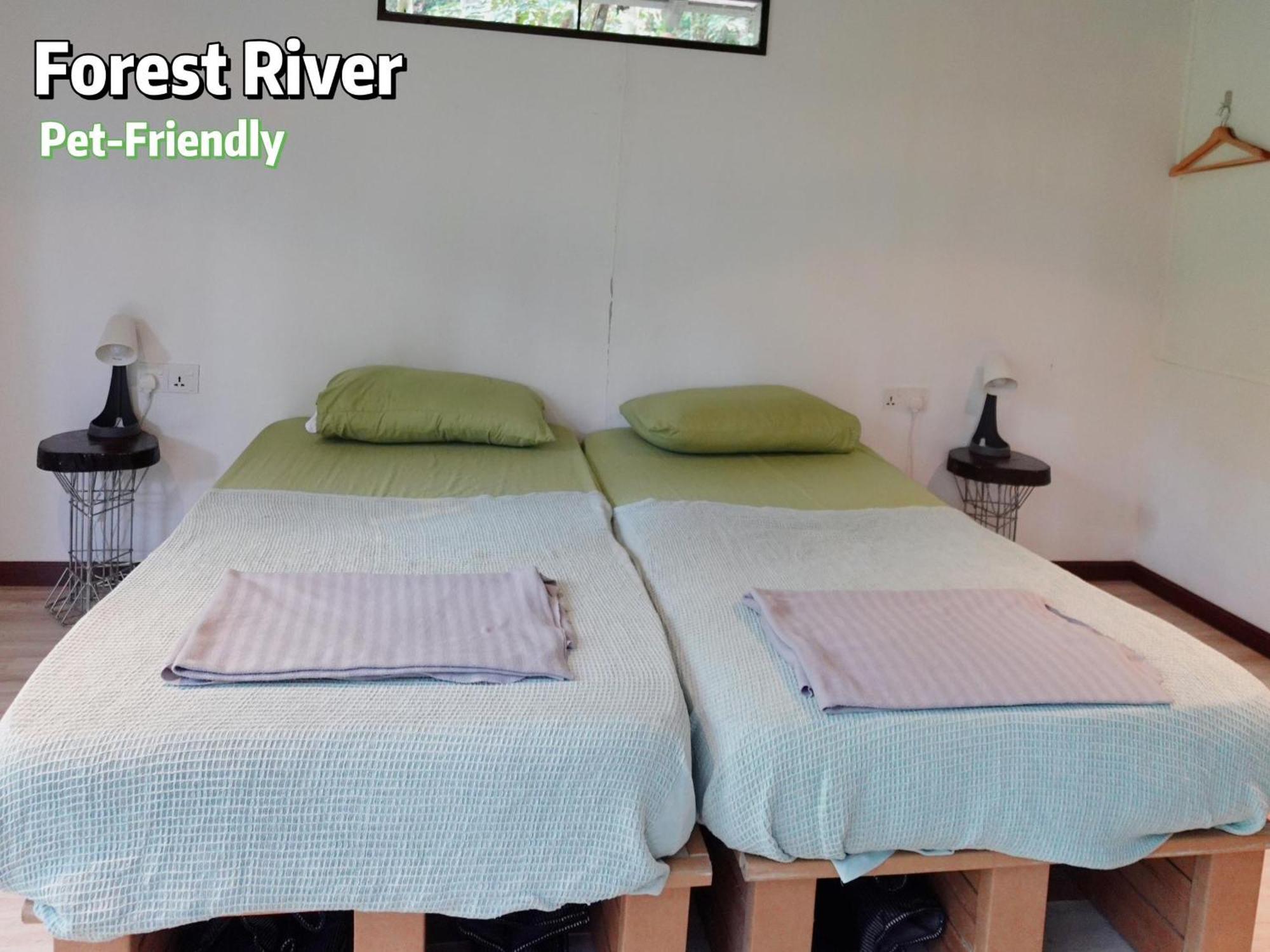 מלון Gibbon Retreat בנטונג מראה חיצוני תמונה